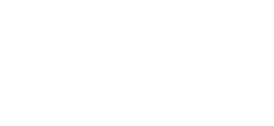 Partner 4